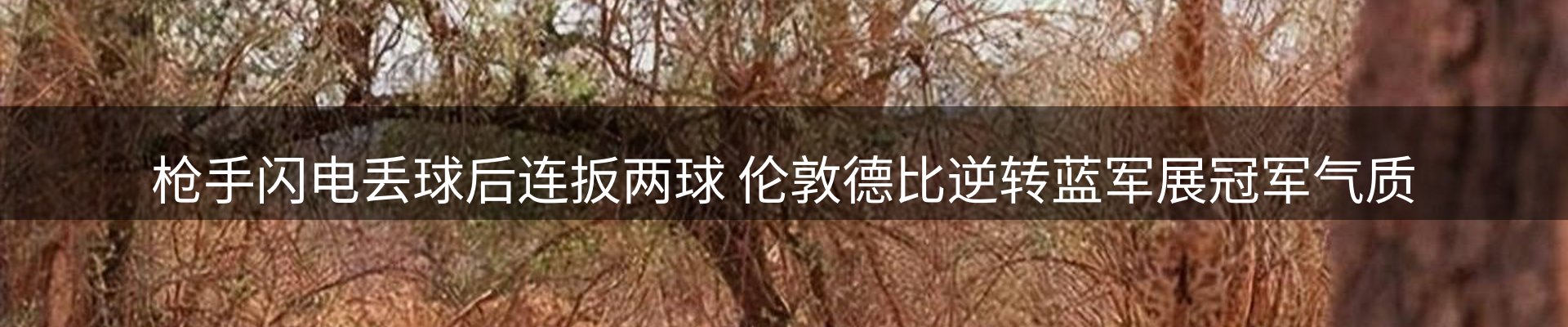 焦点展望